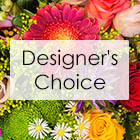 Create Your Own - Designer's Choice